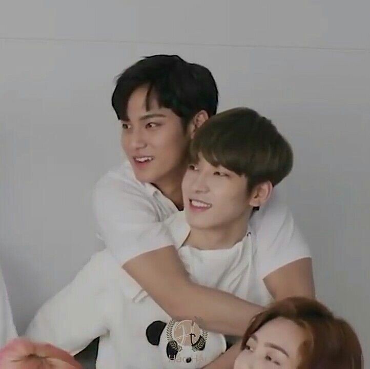 rayonww's tweet photo. Minwon as cats ; a thread https://t.co/eQshvxpCk8