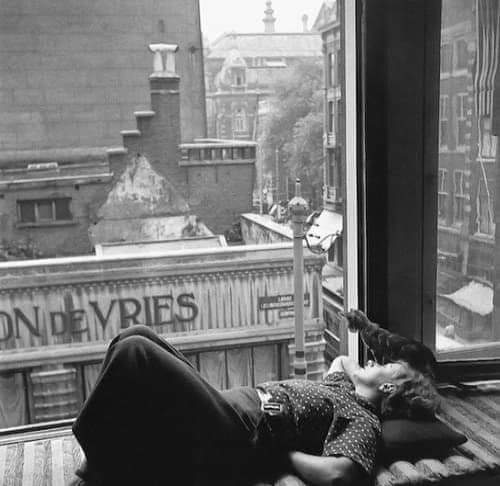 literland tweet media