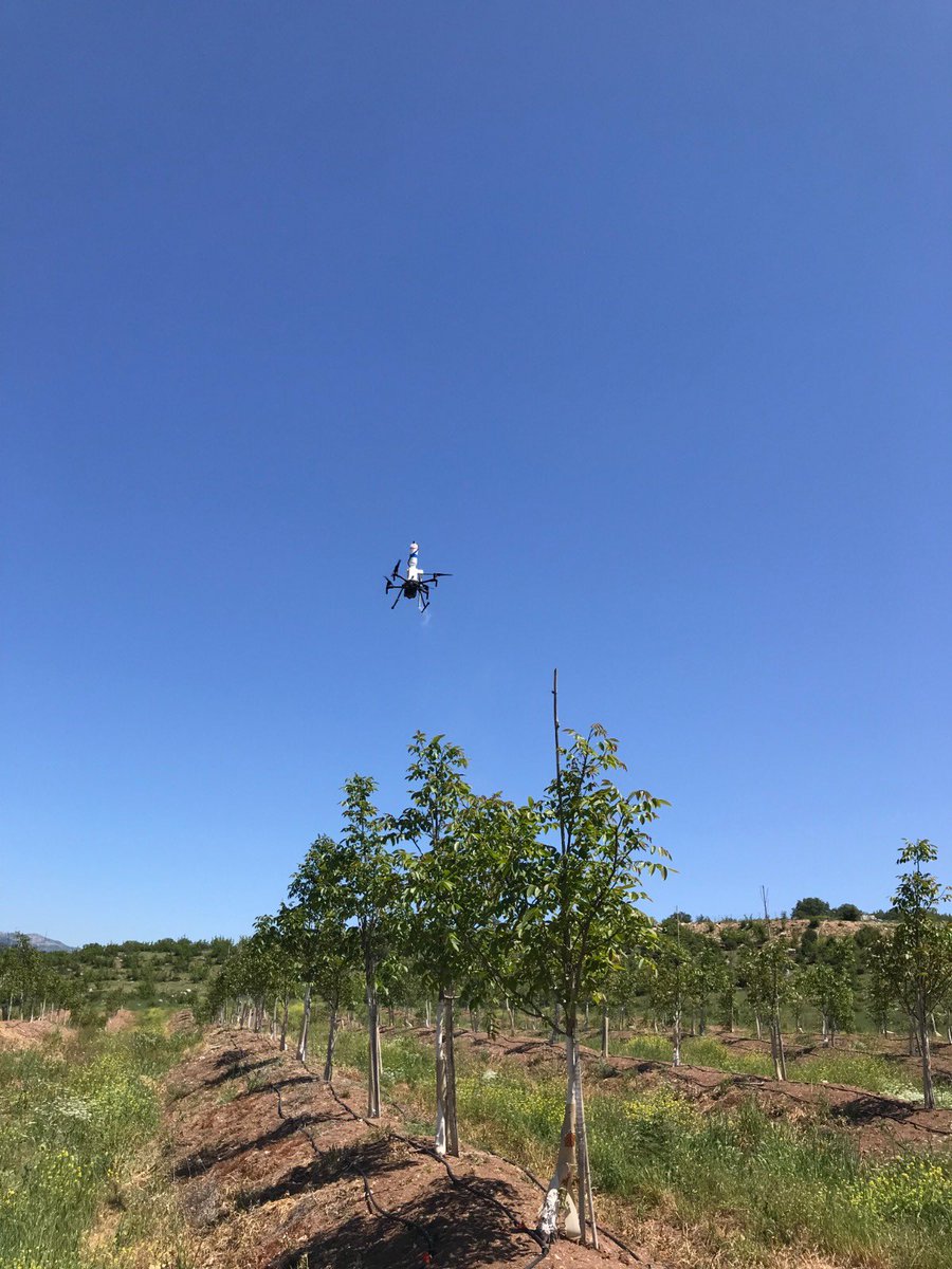 akcayasar's tweet photo. AkçaNut Drone tozlama projesi https://t.co/AXUAbZyxaf