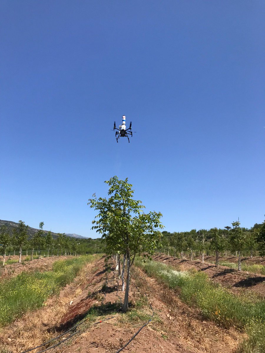 akcayasar's tweet photo. AkçaNut Drone tozlama projesi https://t.co/AXUAbZyxaf