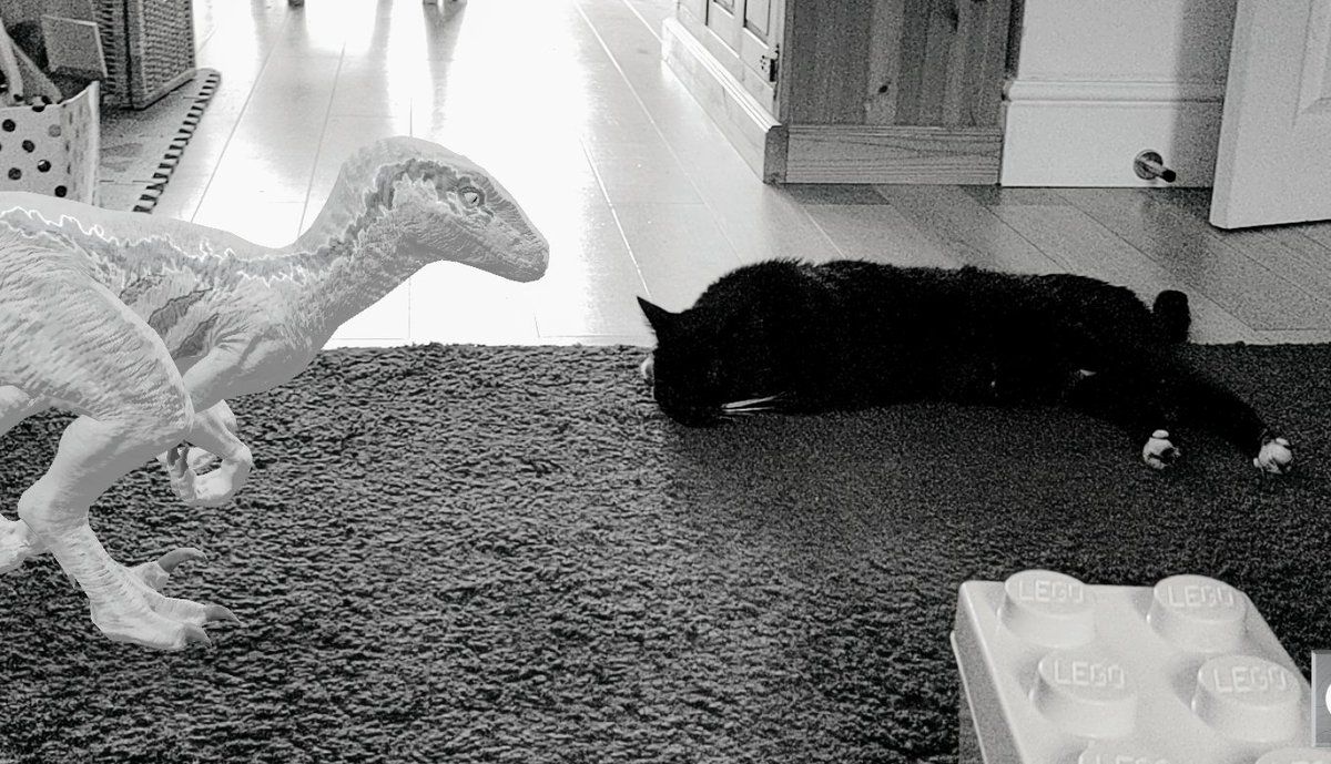 The Cat™🇺🇦 tweet media