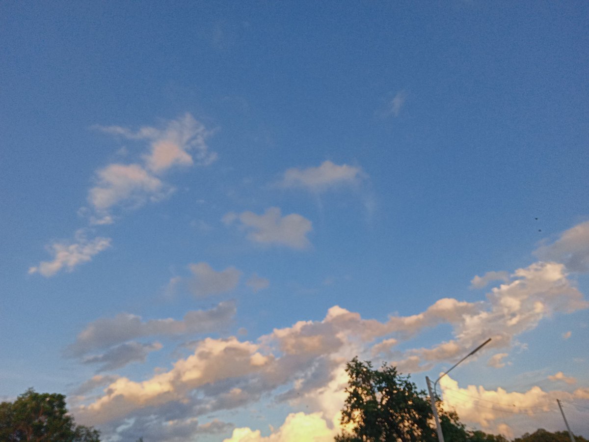 chlitt11's tweet photo. 🌿🍃🌥️ https://t.co/B183wLcpkf