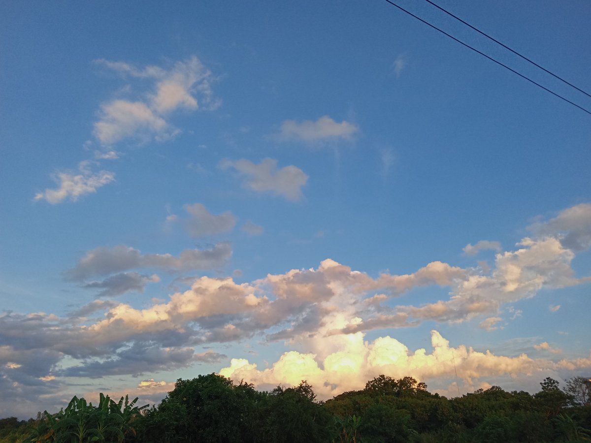 chlitt11's tweet photo. 🌿🍃🌥️ https://t.co/B183wLcpkf