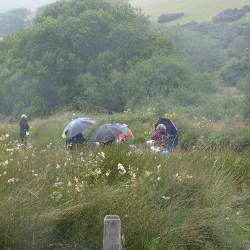 nakedambitionuk's tweet photo. A typical Summer's day picnic on Exmoor !...⁠
⁠
#exmoor #exmoornationalpark #britishpicnic #summertime #wedontcare #carryonregardless #rainydays #umbrella #uksummer #getoutside #makingthemost #lovenature #alwaysbeprepared https://t.co/boTvrPtL9w
