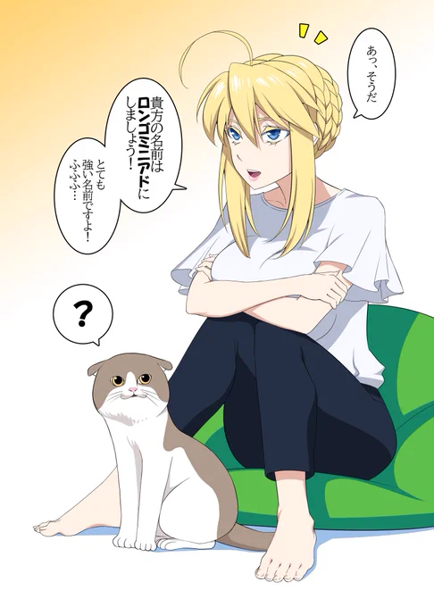 ランサーアルトリアの猫生活 