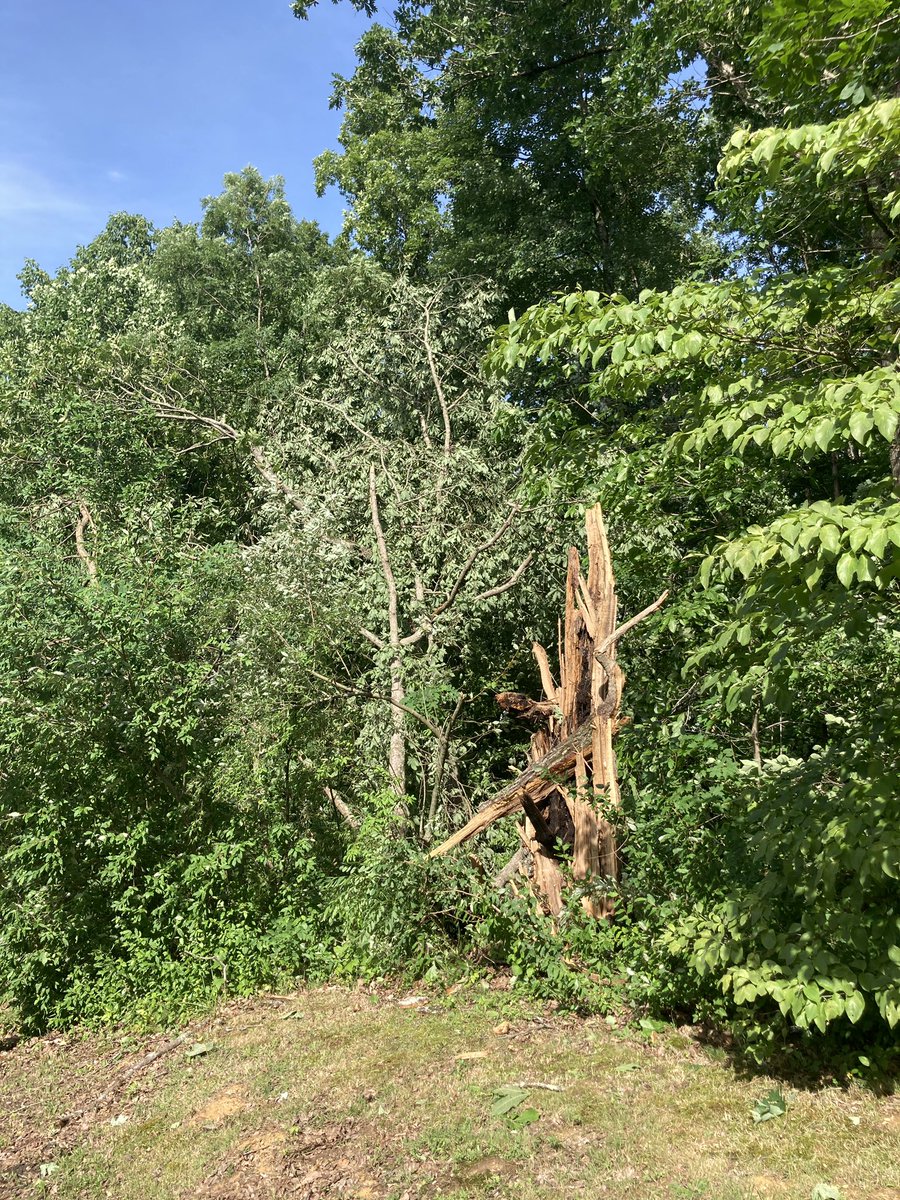 PalyJen's tweet photo. Welcome back from fieldwork. How about we take out your power? And scatter trees like pick-up sticks in the hard to reach part of your back yard? #severestorms #cleanupbegins https://t.co/hTWWVvd5xr