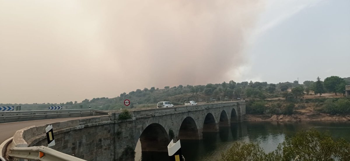 BrifLaza's tweet image. Para los que nos acabáis de conocer, las Brif somos bomberos forestales dependientes del Ministerio de Medio Ambiente @mitecogob 
Es decir, somos los únicos bomberos forestales que tiene el Gobierno. Estamos repartidos en 10 bases.
Ahora mismo #Brif Laza en #IFSierraDeLaCulebra