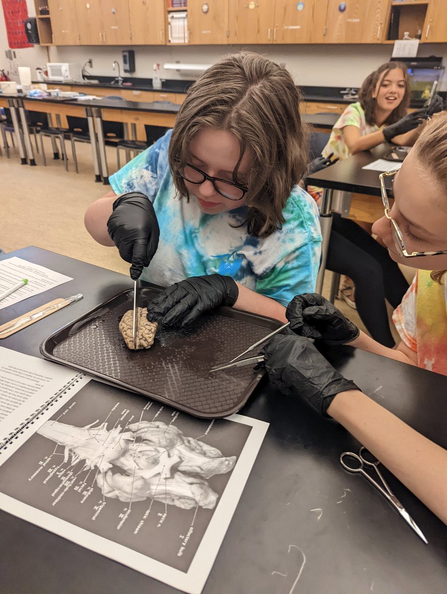 Best 2 weeks! <a href="/WataugaSchools/">Watauga County Schools</a> 9th graders had rich experiences that built new relationships &amp; developed leadership capacity all while authentically engaging w/content-- Leadership Collaborative Camp was one of the most rewarding experiences I've had as an educator.#NCSummer2Excel