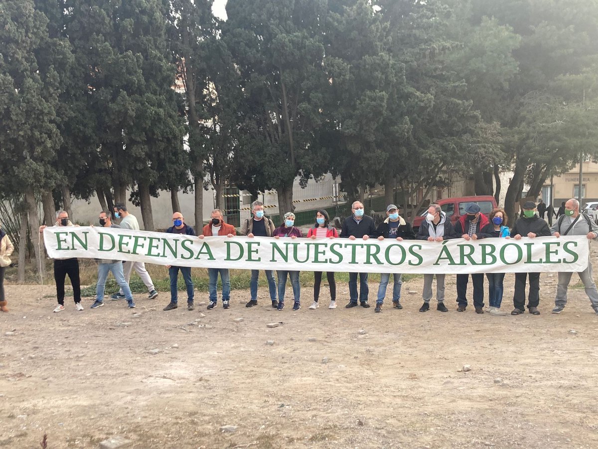 ondaceromelilla's tweet photo. .@hmohat01 asegura que el director general de Fomento le ha confirmado que la retirada de los árboles de la Cuesta de la Calera es fruto de un acuerdo entre  @InfraestMelilla y @GuelayaMelilla. La entidad ecologista lo desmiente. https://t.co/82AiDRMqap https://t.co/crqw2bKoZV