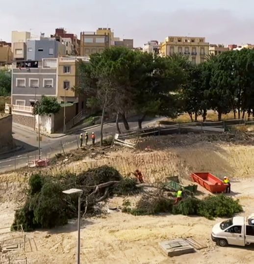 ondaceromelilla's tweet photo. .@hmohat01 asegura que el director general de Fomento le ha confirmado que la retirada de los árboles de la Cuesta de la Calera es fruto de un acuerdo entre  @InfraestMelilla y @GuelayaMelilla. La entidad ecologista lo desmiente. https://t.co/82AiDRMqap https://t.co/crqw2bKoZV