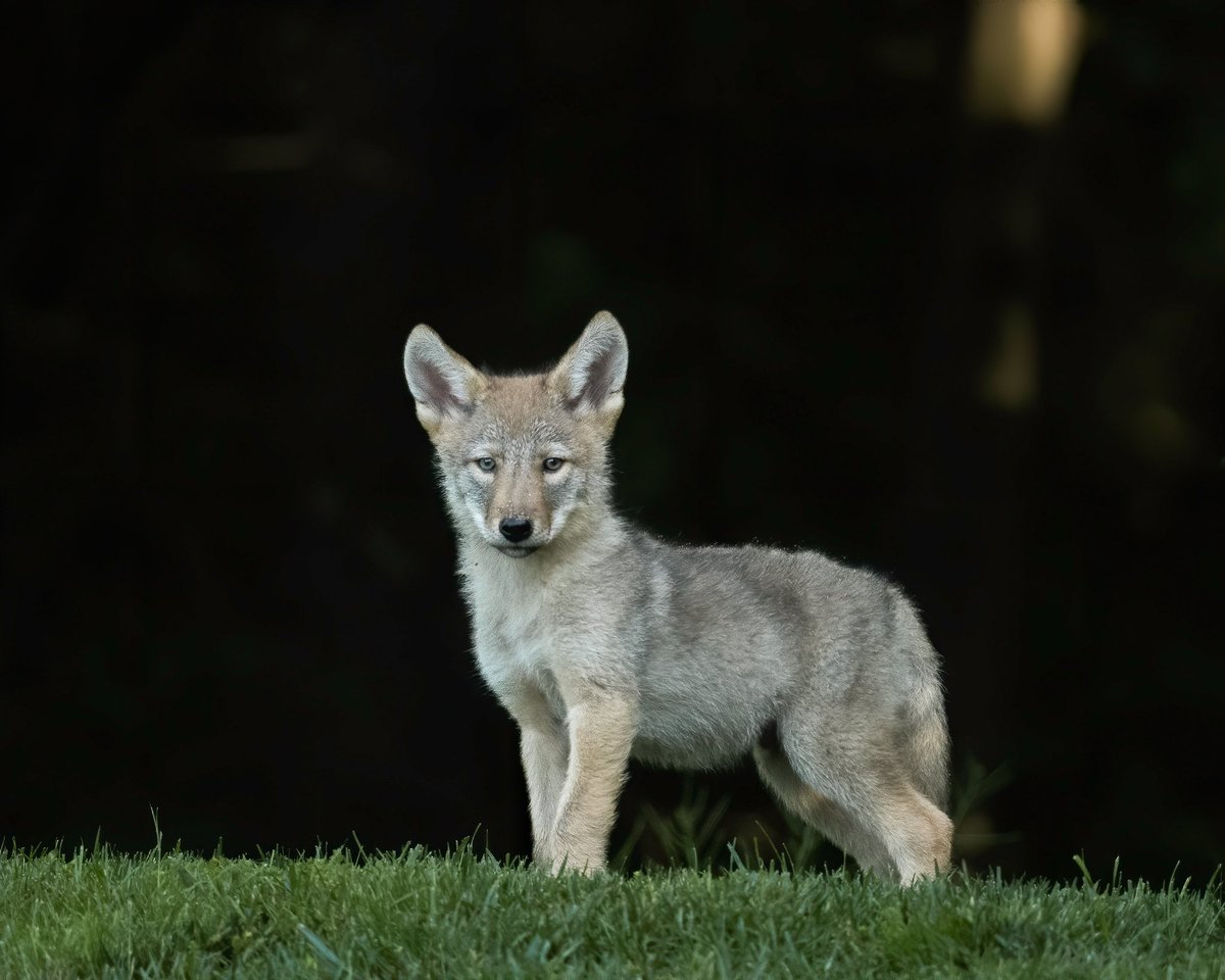 Matthew Booth 🇨🇦 tweet media