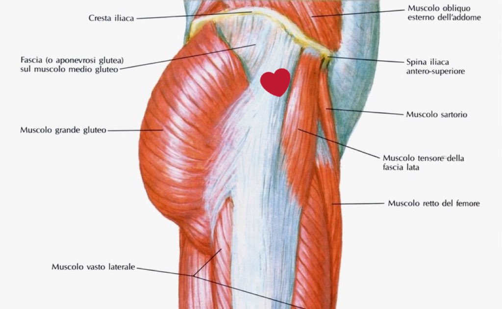 Ora_Sempre's tweet photo. Se il tatuaggio di Taehyung è vero, allora dubito che possa essere sul in mezzo si suoi elephant Moles, sul braccio, in vista.
Credo sia tra Muscolo tensore della fascia lata e il grande gluteo 🤷🏻♀️
(In alto sulla coscia sinistra)
#bangta #friendship #taekook #culo https://t.co/zampE95lyW