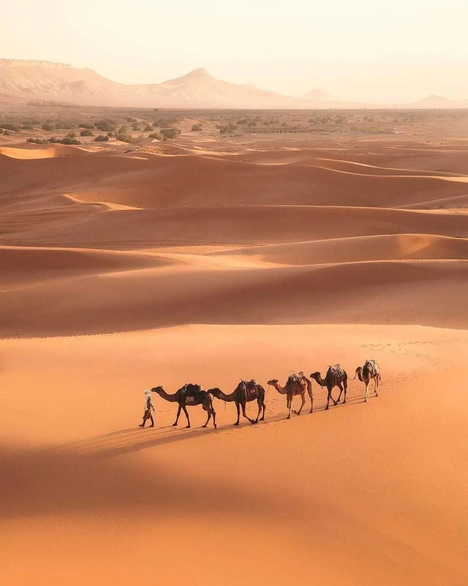 oourworld's tweet photo. Sahara Desert, #Morocco 🏜 🐫 https://t.co/ncaAsFw3zh