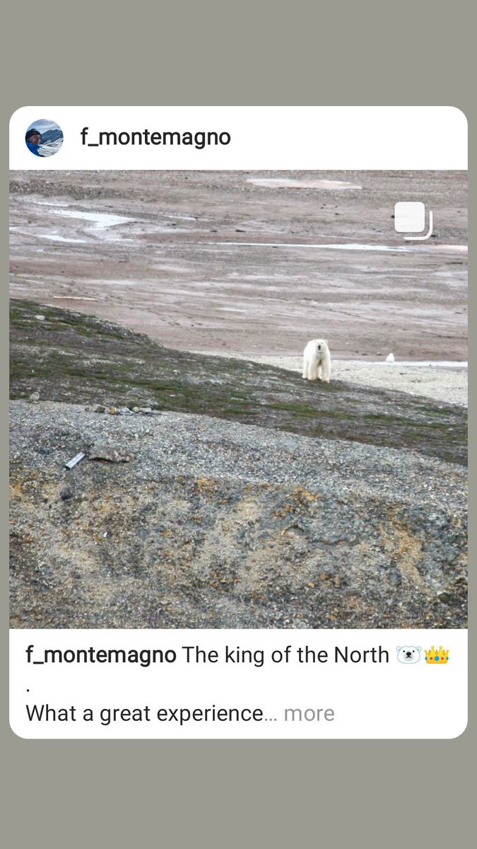 Ok, six bears in a week seems a bit much... Plus, all of them like our sampling site! Today we had to move again because the king of the north decided to take a nap at our sampling station... And sometimes you find the footprints to remind you how big they are...