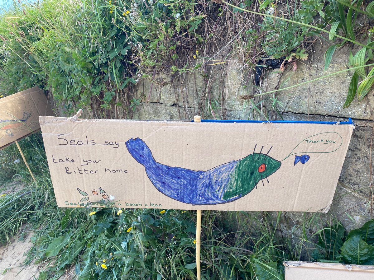 annaturley's tweet photo. Great ☀️ morning out on the beach supporting @LitterMarske #flushmob campaign to highlight the impact of wipes & microplastics on our seals 🦭 and sealife 🦀 with @teeswildlife & @NorthumbrianH2O. Sieved for plastic ‘nurdles’ & built a sand seal! https://t.co/1g0zXXjytV