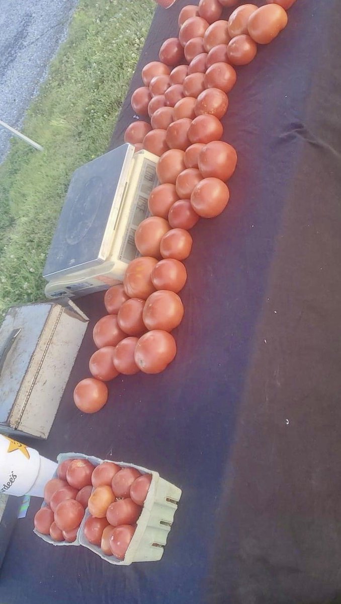 Central Park Farmer Market on east side of City Hall today. #juneteenth2022 #hannibalproud