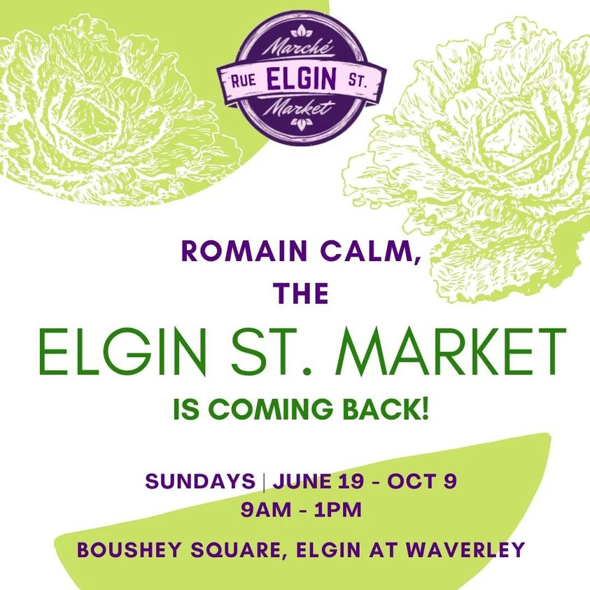 CentretownCCA's tweet photo. The Elgin St Market is back at Boushey Square this Sunday!
Special guests will be joining the CCA:
MP Yasir Naqvi, the Ottawa Safety Council, Ottawa Fire Truck, and live music by Raymundo!
.
#elginstottawa #supportlocal #SundayMarket #community #apt613 #fathersdayweekend https://t.co/xA7jykRg6i