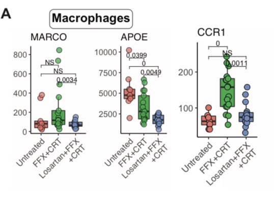 PDAC Stromal Reprogramming Consortium (@pacmenc) on Twitter photo Preprint from <a href="/PacmenC/">PDAC Stromal Reprogramming Consortium</a> site <a href="/MGHCancerCenter/">Mass General Cancer Center</a> (Dr. Rakesh Jain et al) with <a href="/PittetLab/">The Pittet Lab</a>
Addition of losartan to FOLFORINOX and chemoradiation downregulates pro-invasion and immunosuppression-associated genes in locally advanced #PancreaticCancer
medrxiv.org/content/10.110… Preprint from <a href="/PacmenC/">PDAC Stromal Reprogramming Consortium</a> site <a href="/MGHCancerCenter/">Mass General Cancer Center</a> (Dr. Rakesh Jain et al) with <a href="/PittetLab/">The Pittet Lab</a>
Addition of losartan to FOLFORINOX and chemoradiation downregulates pro-invasion and immunosuppression-associated genes in locally advanced #PancreaticCancer
medrxiv.org/content/10.110…