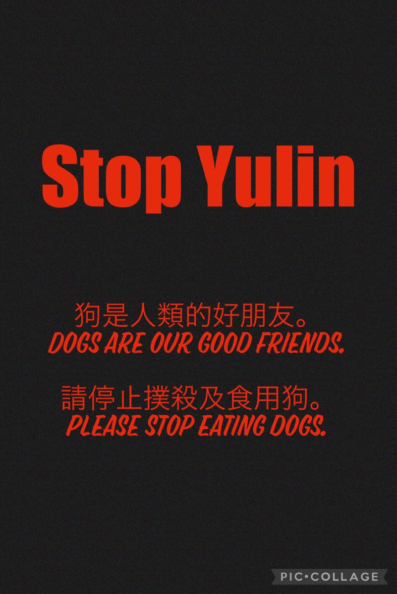 MU07253956's tweet photo. 犬肉祭をやめてください。犬肉業者、犬泥棒は、売れなければ、違う仕事を探します。#endyulinfoever #endyulinfestivel #Stopyulin #BanYulinTorture #StopDogMeat #犬肉祭反対 #犬猫虐待反対 #犬猫肉 #notCulture #DCMT #catsarealsovictims #FightCatMeat #animallovershavenoborder #ユーリン https://t.co/Fne36pn554