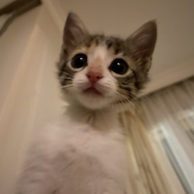 #NewProfilePic