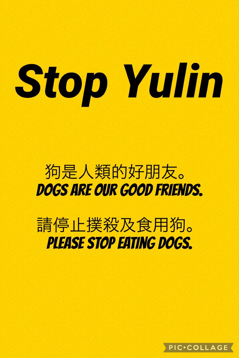 MU07253956's tweet photo. 犬肉祭をやめてください。玉林市は、血の海です。犬の死体が、転がっています。
#endyulinfoever #endyulinfestivel #Stopyulin #BanYulinTorture #StopDogMeat #犬肉祭反対 #犬猫虐待反対 #notCulture #DCMT #反犬肉 #catsarealsovictims #FightCatMeat #animallovershavenoborder https://t.co/1d1Nk3dZdU