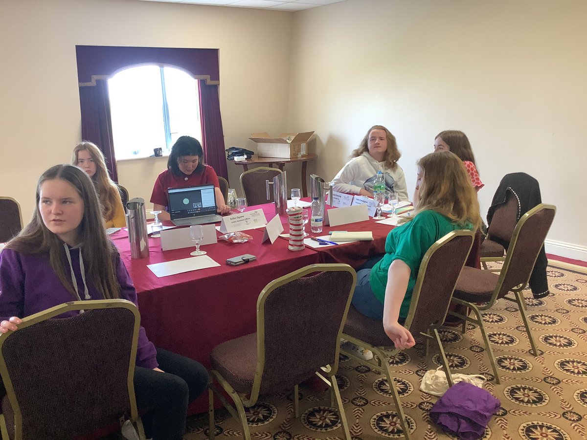 Roscommon Comhairle na nÓg tweet media