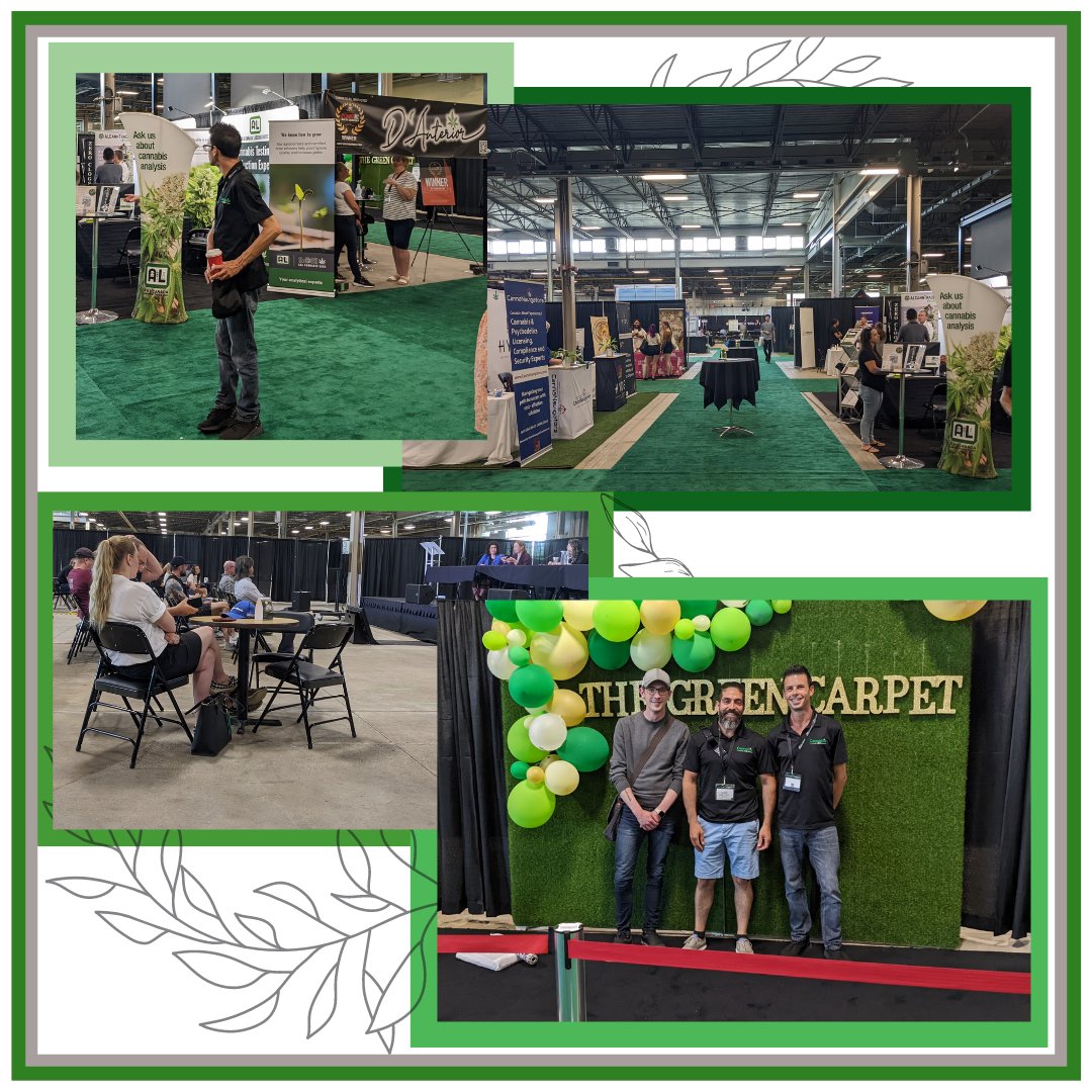 First Cannabis Wiki in the Forest City! <a href="/strainexplorer/">Cannabis Wiki</a>  
What an amazing opportunity to share with such educated, passionate and experienced individuals!
See you there next year!..
#thatsmylink 💚🌿🌱
#ldnont #educate #growth #cannabiscommunity #cannabis #mmemberville #weed