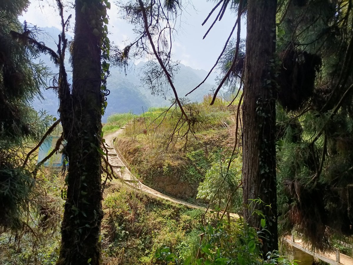 provat (@provat_sur9736) on Twitter photo 