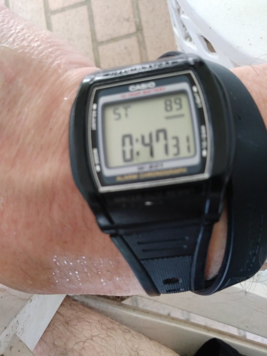 PunkRunnerEvan's tweet photo. The Next-Gen Punk and myself did 6 miles this morning at 47:31, that's not bad in this Florida heat. Sterling proudly showing off his shark. @runningpunks #USRunningPunks #RunTampa #RunningDad https://t.co/sVVHrMIn2v