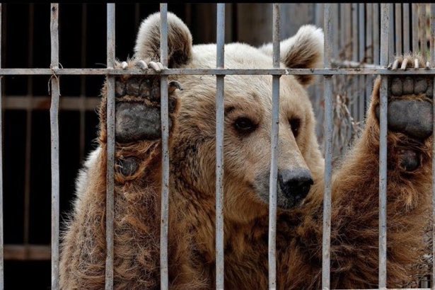 Liberate M49 #FreeM49
Please Retweet ❤️