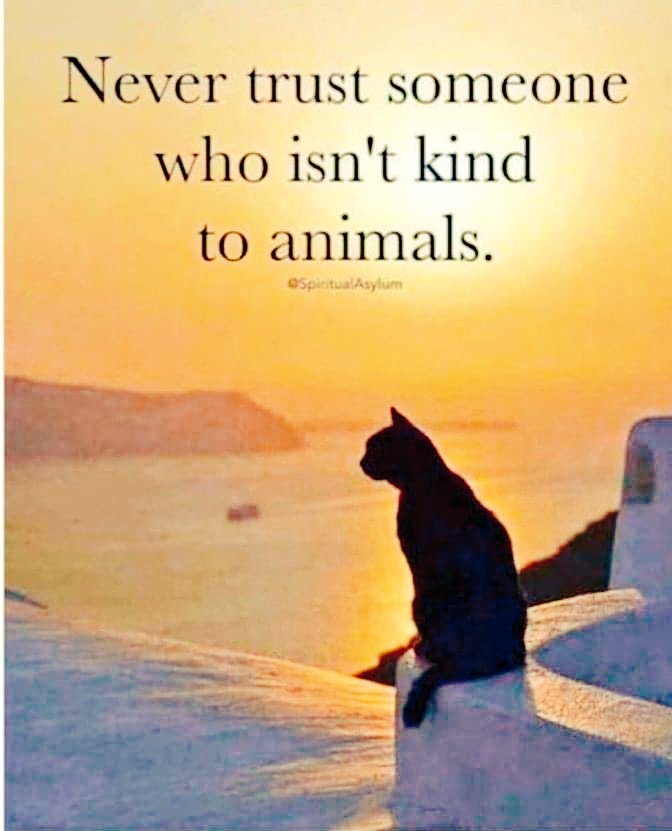 Just a simple truth.🧡