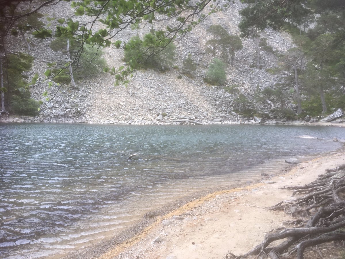 Beautiful green loch