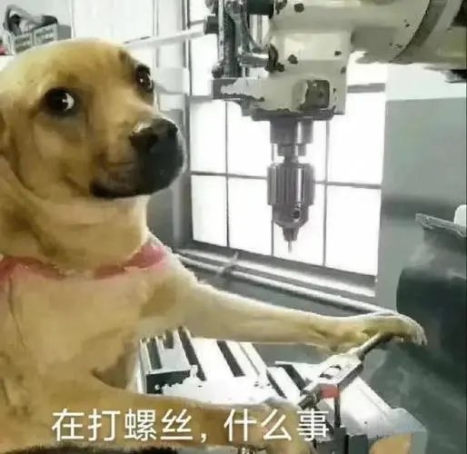 狗头杀手 | edge99.eth tweet media