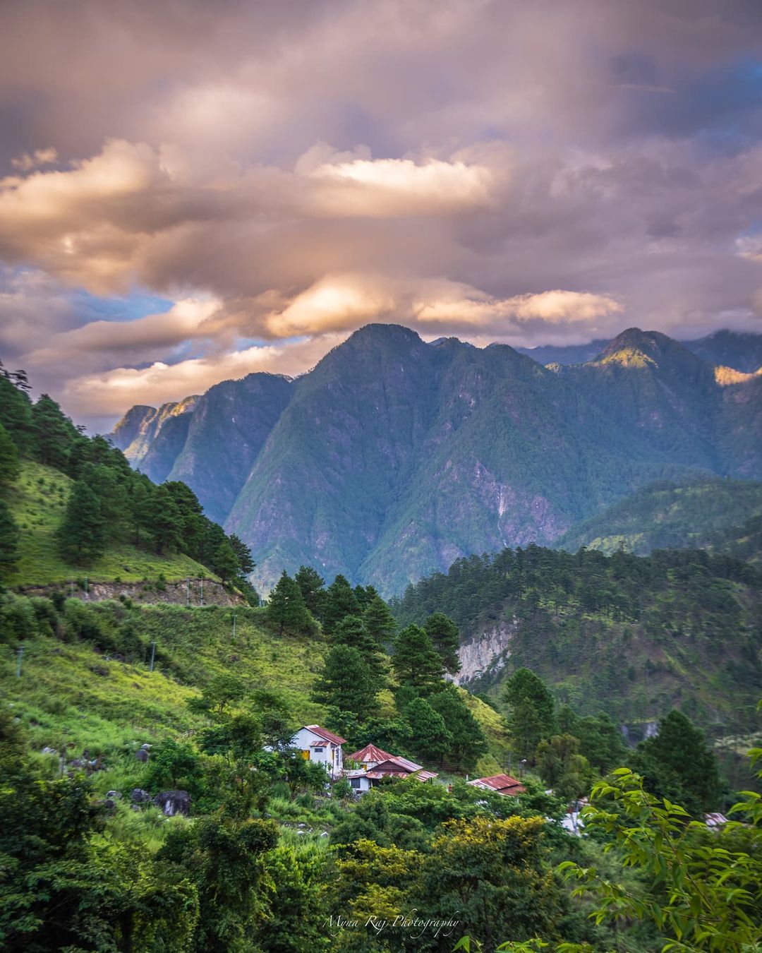 Amrita Mazumdar (AmritaaMazumdar) / Twitter