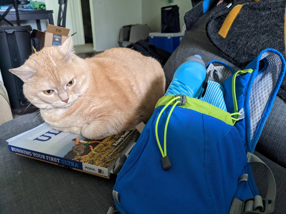 ohheypizzacat's tweet photo. Bey is helping me get my stuff together for my long run tomorrow morning. #ultratraining #50ktraining https://t.co/weWVoDdCNv