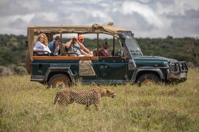 MuthaigaTravel's tweet photo. ENASOIT GAME SANCTUARY, LAIKIPIA PLATEAU
A Luxurious private safari camp in Kenya's Laikipia plateau, hired on an exclusive basis.
Call or Email us for a CUSTOMIZED SAFARI EXPERIENCE
☎️ +254718002012
☎️ +211924 052704
📩 info@muthaiga.co.ke
#travel #enasoit #Laikipia #safari https://t.co/TleCqbPOsG