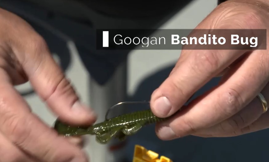 InFishermanMag's tweet photo. Fishing 102: Thomas Allen runs through the basics of Texas and Carolina rigs. Click https://t.co/zDQQ6wTHo5 to see him utilize @googanbaits and @ZOOMBaitCompany Lizards paired with a @Lews_Fishing Mach 2 Combo. Get them all at @DICKS! #BassFishing #FishingLures #PlasticBaits https://t.co/c8b1N2GpuV
