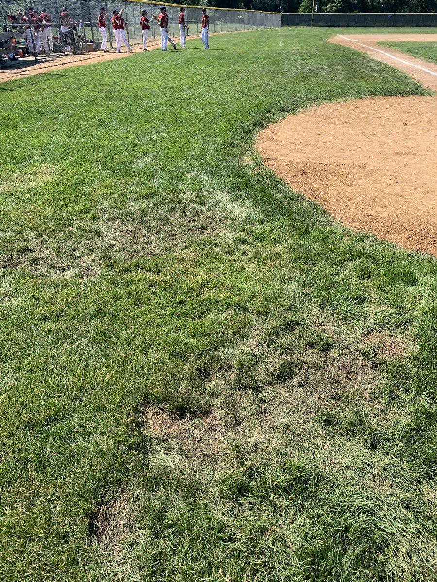 BlaineBaseball's tweet photo. PSA: if you are going to use the Blaine Baseball Complex for practice, dirt is much easier to repair than grass. Please do not take BP standing in the grass behind or in front of home. https://t.co/Ylb59FyzRM