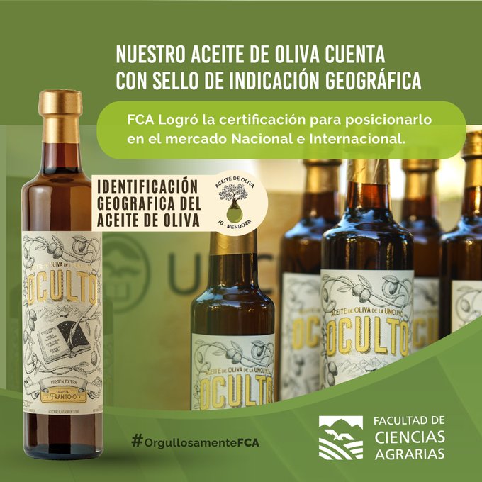 Ya tiene IG el aceite de oliva de Ciencias Agrarias, sello de calidad  extensivo a quienes allí elaboren | ENOLIFE | La vida del vino