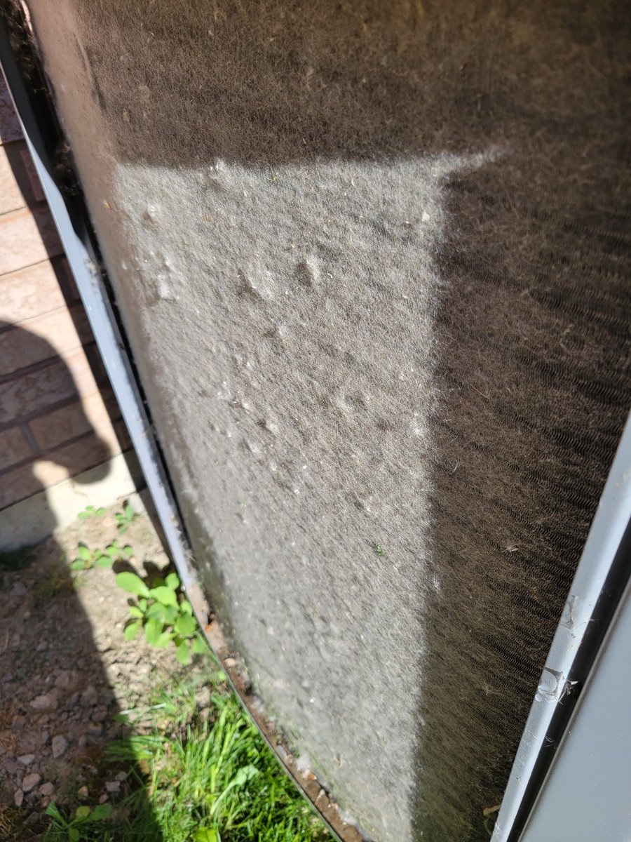 Tim Schweyer tweet media