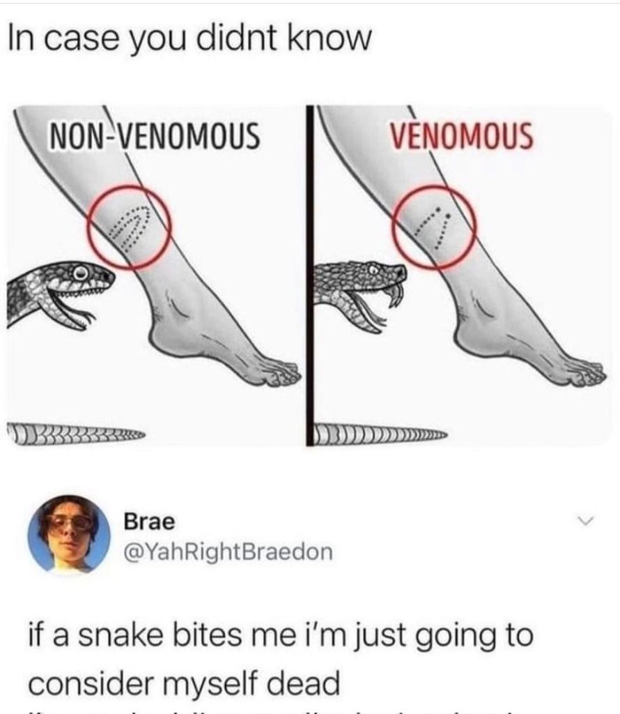 ChrisScaacs's tweet photo. I have to agree with Brae!🙈 I'll leave the catching to the experts.
#snake #snakes #SnakeEyes #snakeisland #snakehandler #snakecatcher #mamba #python #cobra #meme #funny #memes2022 #Memes https://t.co/0F1HWlx4AT