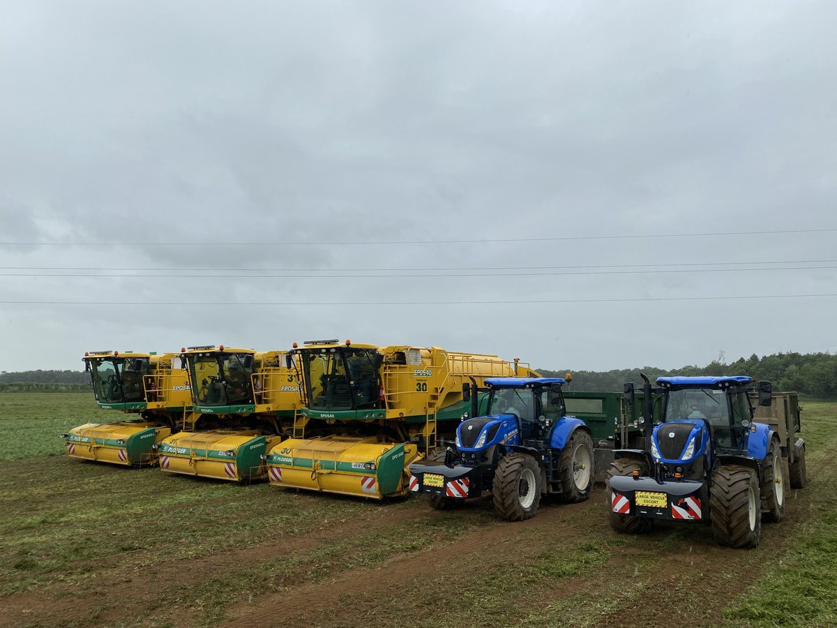 Fen Peas Ltd tweet media