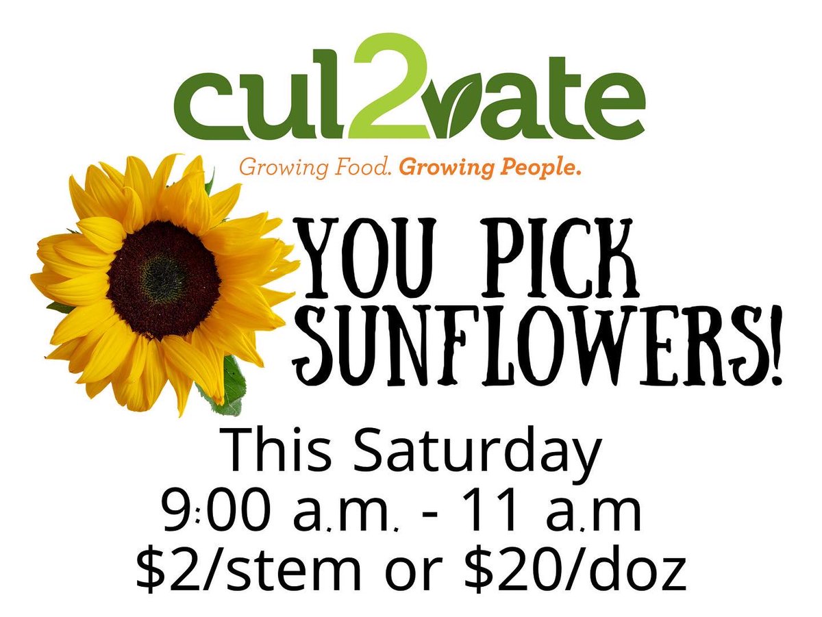 Cul2vateFarms's tweet photo. Pick your own sunflowers is happening THIS MORNING! Join us on the farm! https://t.co/NjCiqsYWco