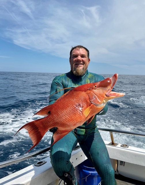 Outdoor_TV's tweet photo. Who loves seeing giant fish?.. I guess the question we should really be asking is who DOESN'T? Make your way to Spear Life for awesome clips, pics, and tricks of spearfishing 🐟

#spearlife #spearfishing #fish https://t.co/4j90zxMvsw