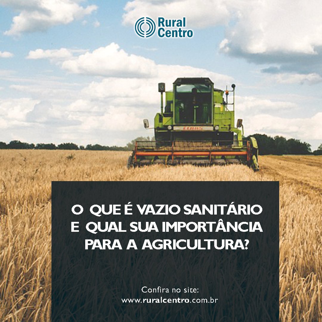 RuralCentro's tweet photo. O vazio sanitário trata-se de um período onde varia de 60 a 90 dias, onde não pode existir de modo algum quaisquer plantas vivas na lavoura, sejam elas cultivadas ou voluntárias.

🌐 Confira a matéria completa no site: https://t.co/znLStckRjX https://t.co/kBspTdpHMu