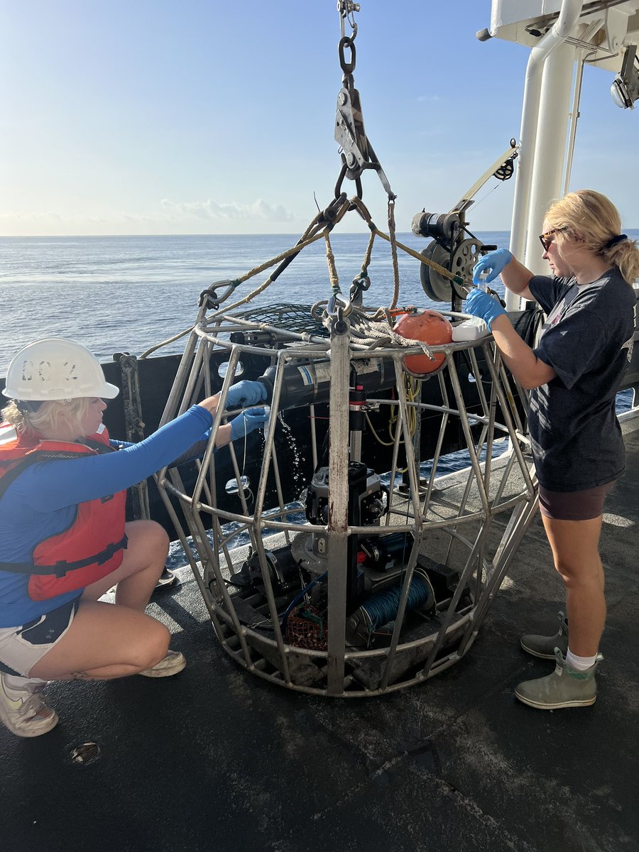 CJ_Hornfeck's tweet photo. Collecting eDNA samples in the GoM aboard the #NOAA vessel Pisces 🧬🐠
#eDNA #metabarcoding #reeffish #JanosikLab https://t.co/JjffmhEnqH