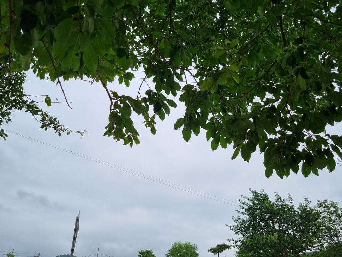 여당대표들은 왜 문재인 前대통령을 들먹이는 거죠?
해경이 정권따라 말바꾸면,
판단근거였던
감청녹음을 
국회 정보위에서 들어보면
될텐데
오버가 지나쳐요
국민은 기름값폭등
생필품 올라 힘겹고
주가폭락에 개미들 울상인데
민생대책 고민할 여당이 해묵은 정쟁을 선도.
여나 야나 뭘하자는건지!