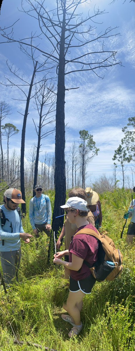 DrEmilyAElliott's tweet photo. Very proud advisor moment. It is a privilege to work w/ graduate student @palmsarenttrees, who is a colleague in the truest sense of the word. Not only does he inspire in research, but this guy is killer at #scicomm as well! Here he is teaching our @disealab students about 🌲 💍 https://t.co/3nw29dHpBE