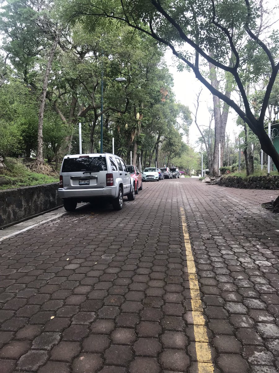 JosefaOE's tweet photo. @mauriciotabe ¿por qué permiten el acceso a automóviles en el Parque Lira? Tenemos pocos espacios seguros y exclusivos para los peatones. ¡Hay que conservarlos! https://t.co/M0uo4kJIea