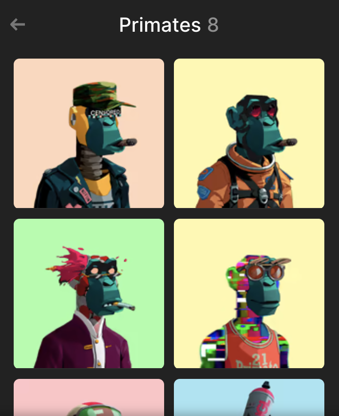 Degen Founder | 🐰🕳️ tweet media